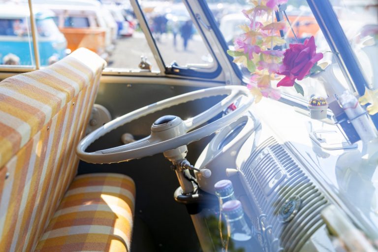 VW Bus Festival